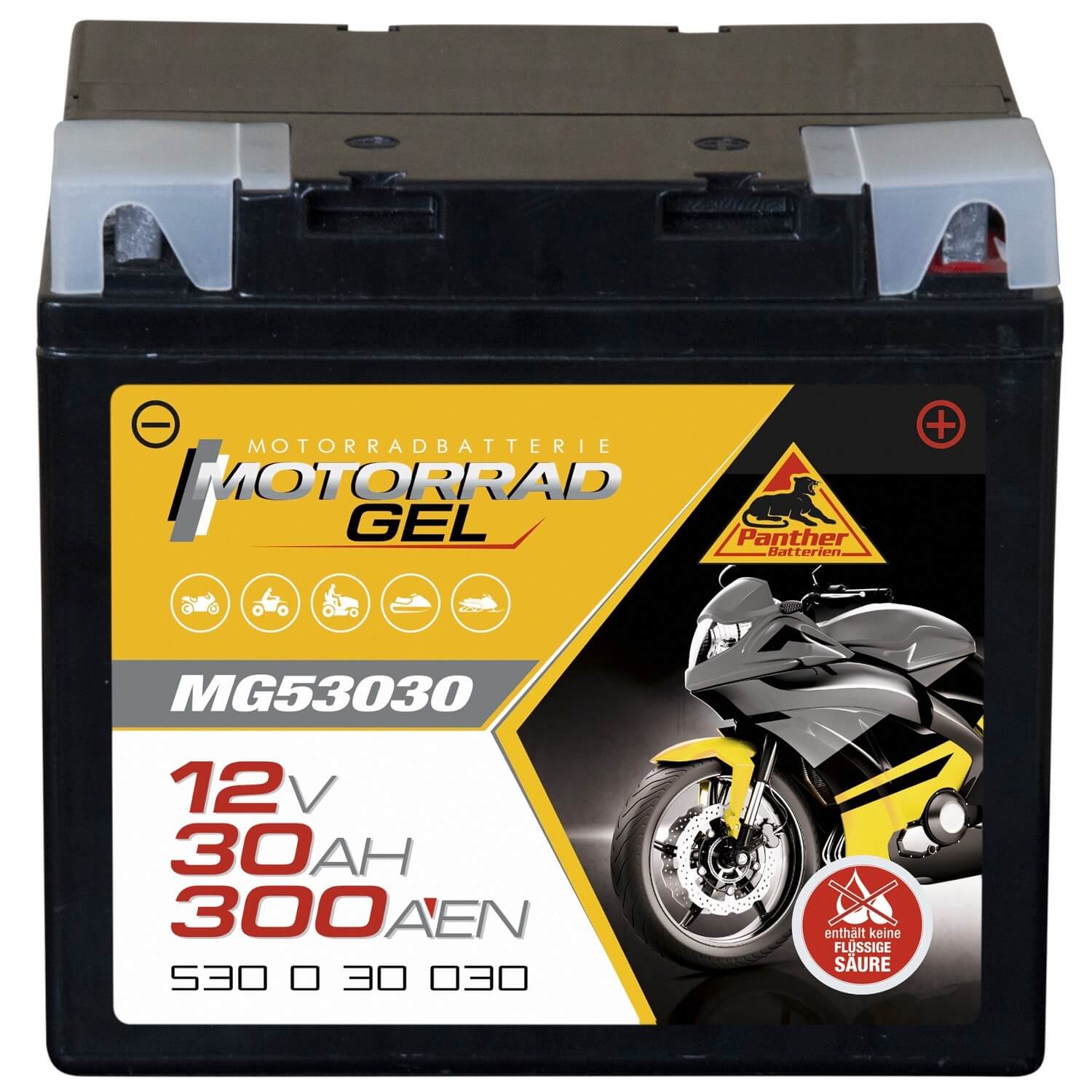 http://www.batterie-industrie-germany.de/cdn/shop/files/Motorradbatterie-Motorrad-GEL-MG53030-PantherGEL53030-12V-30Ah-Front.jpg?v=1700731900