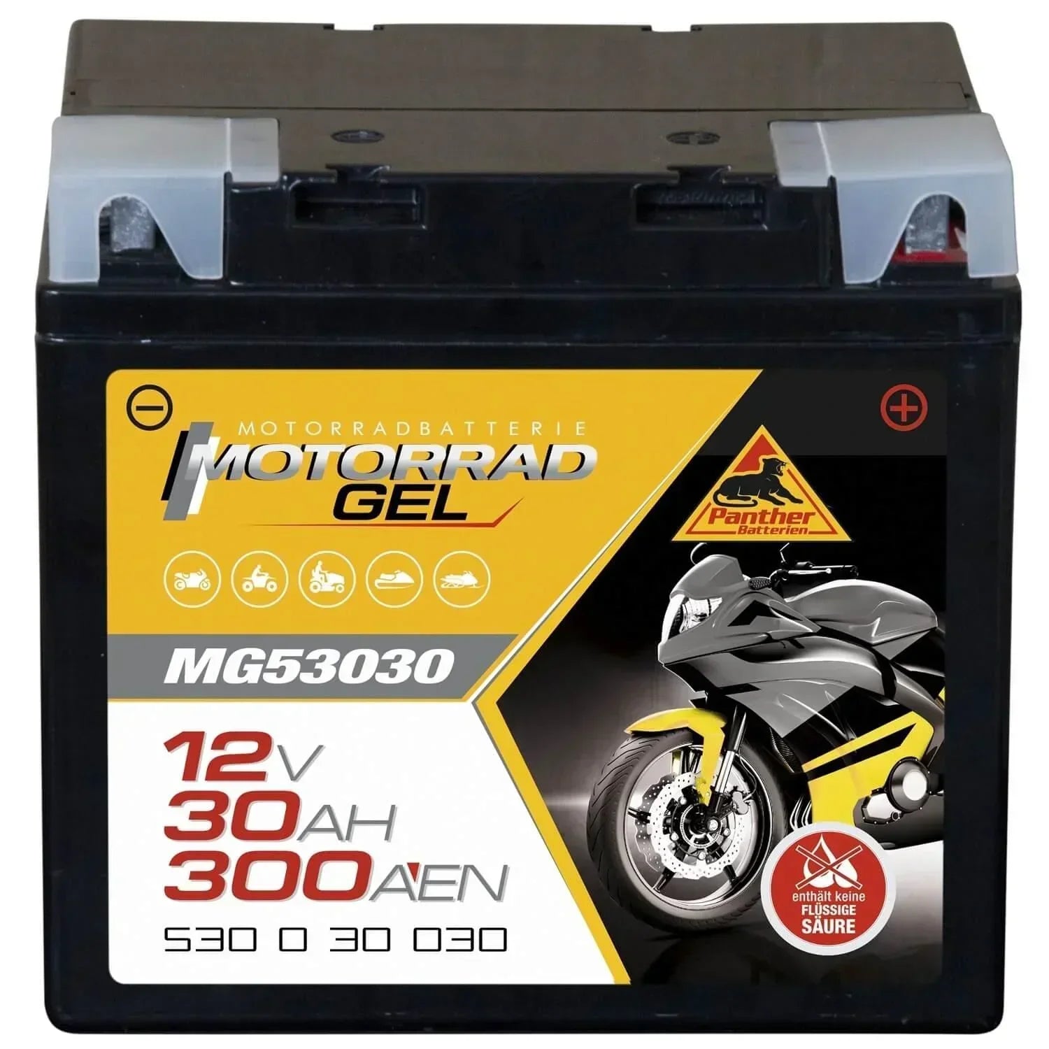 Panther MG 53030 Motorradbatterie GEL 12V 30Ah