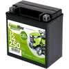 GreenMax GEL 51445 YTX16-BS 12V 14Ah 250A/EN Rasentraktor Batterie