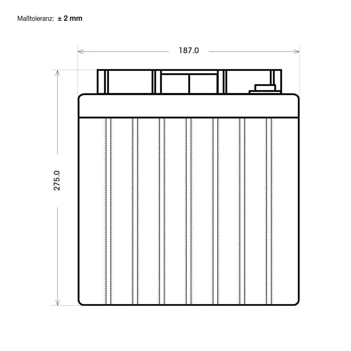 BIG E-Drive AGM 6V 225Ah Traktionsbatterie