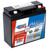 BIG E-Drive AGM 12V 22Ah ersetzt 6-EVF-20 Traktionsbatterie