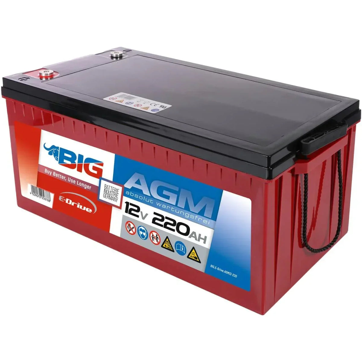 BIG E-Drive AGM 12V 220Ah Traktionsbatterie