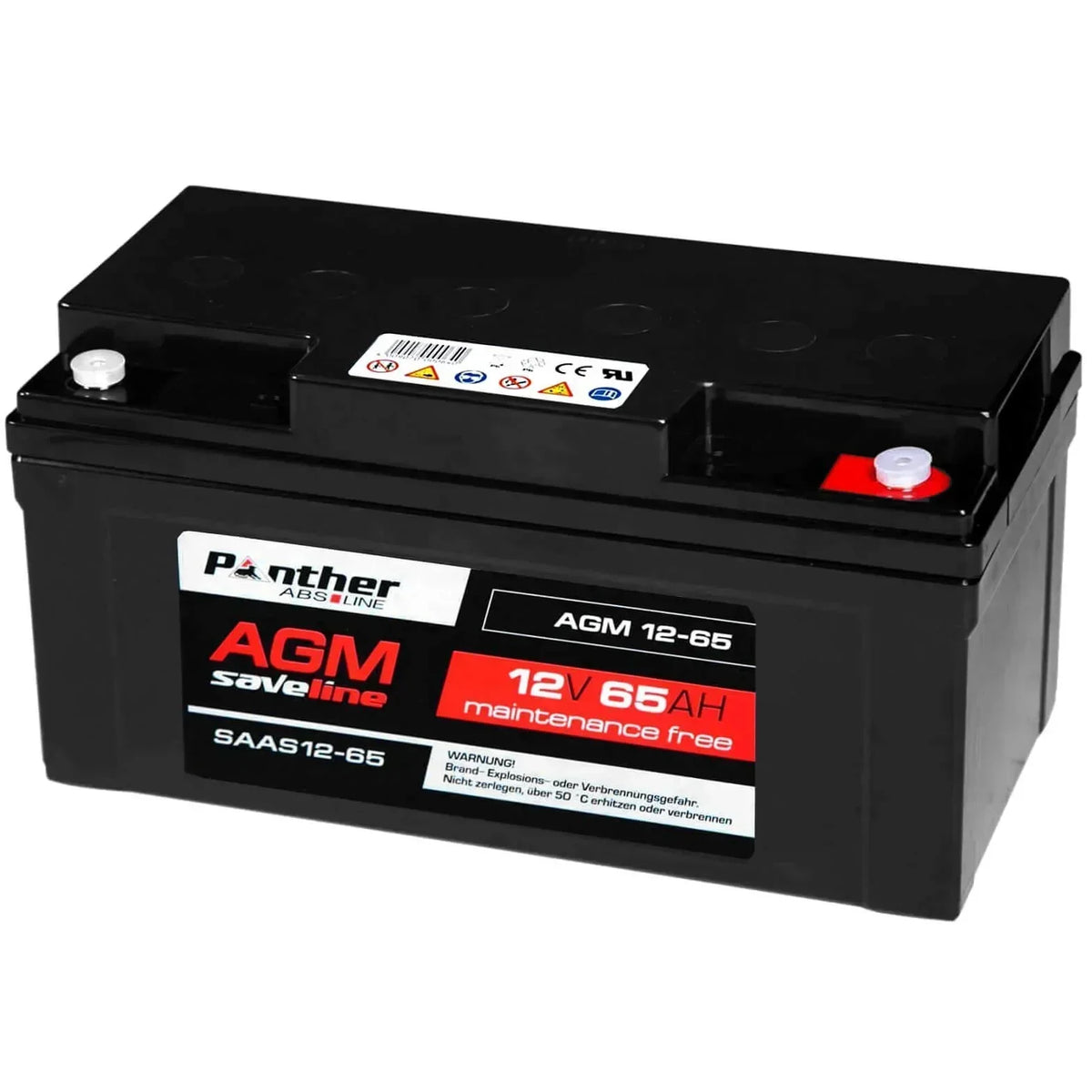 USV Batterie Panther saveline AGM 12V 65Ah Seite rechts