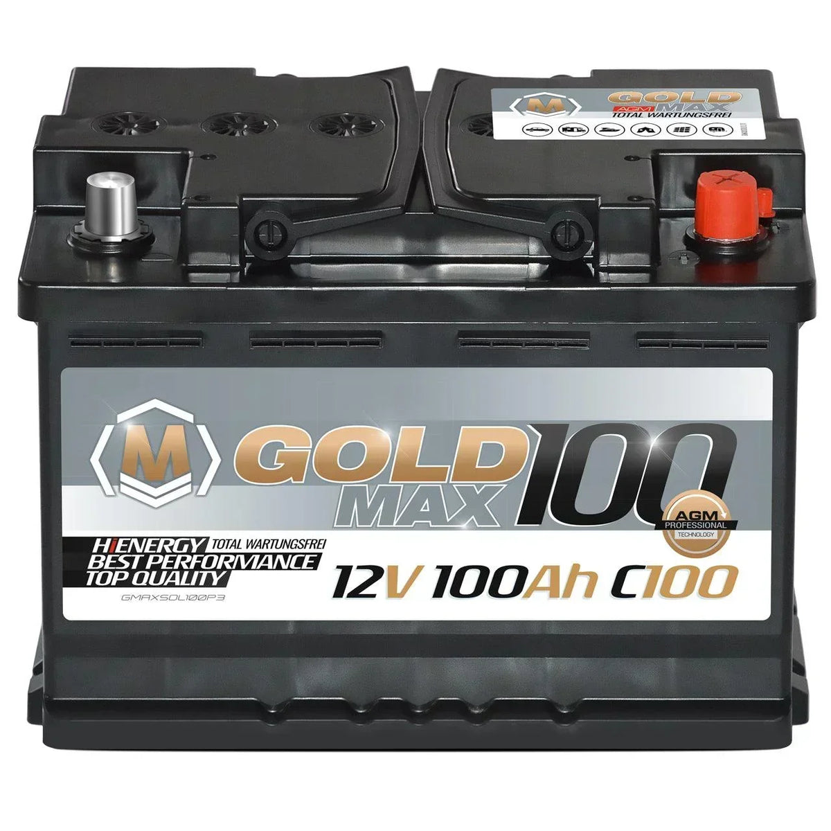 GoldMax AGM 12V 100Ah C100 Versorgerbatterie