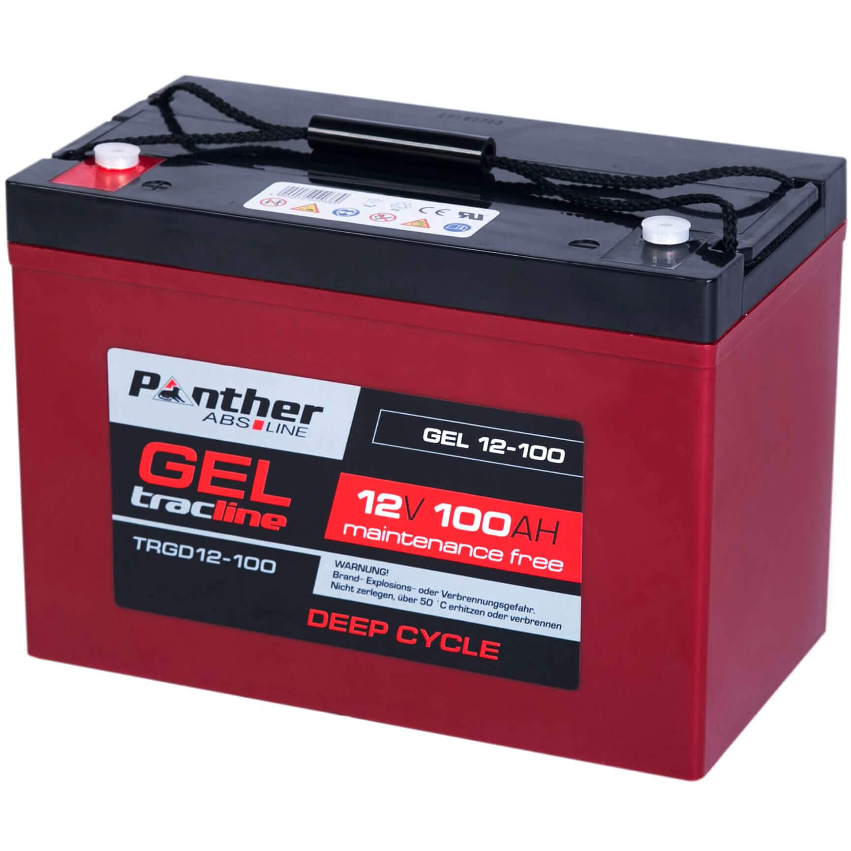 http://www.batterie-industrie-germany.de/cdn/shop/files/Versorgerbatterie-Traktionsbatterie-Panther-GEL-Deep-Cycle-TRGD12-100-12V-100Ah-Seite-Rechts.jpg?v=1700743889