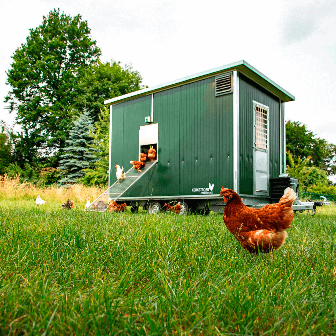 Mobile Hühnerställe mit Photovoltaikanlage