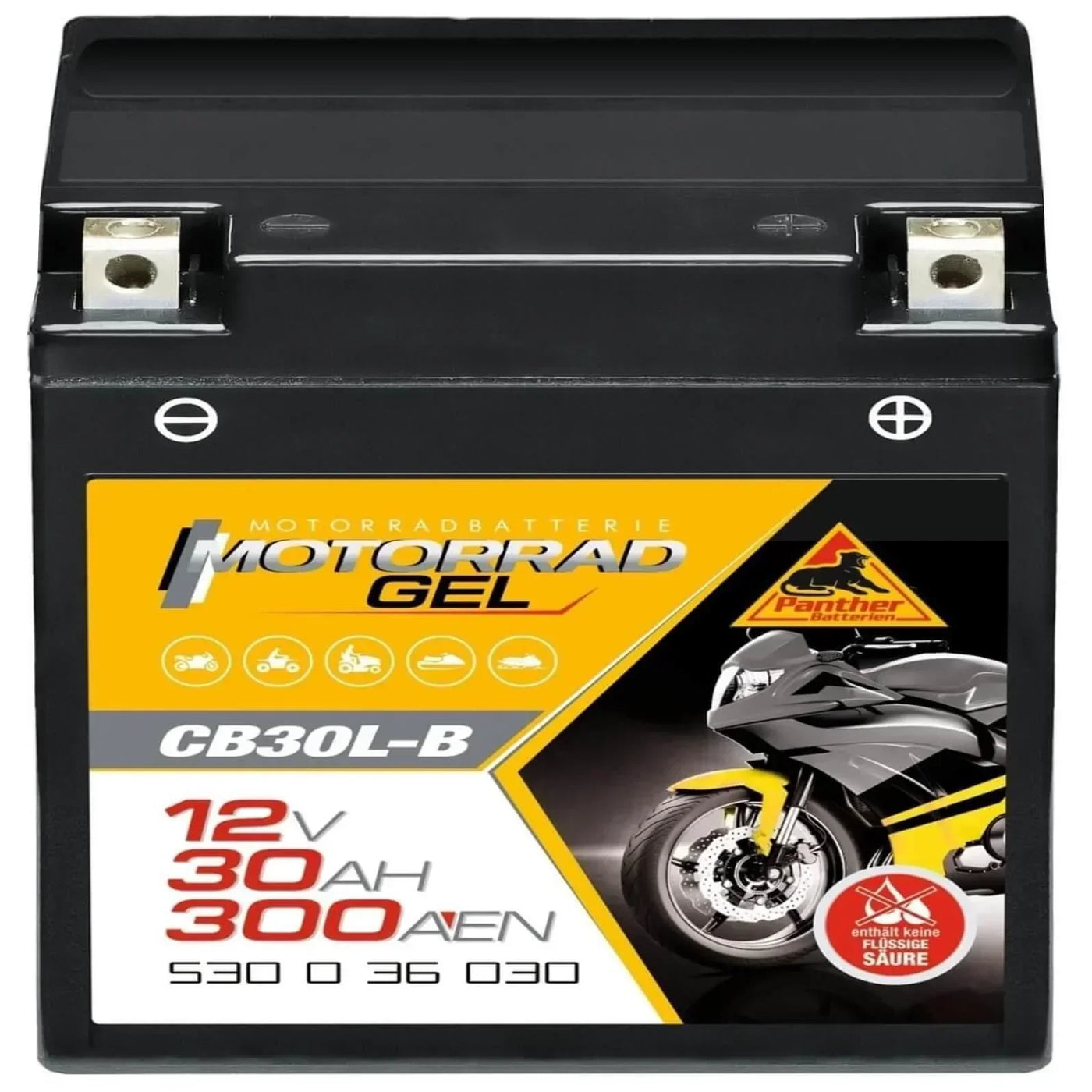 Motorradbatterie Panther GEL CB30L-B 53036 12V 30Ah Front