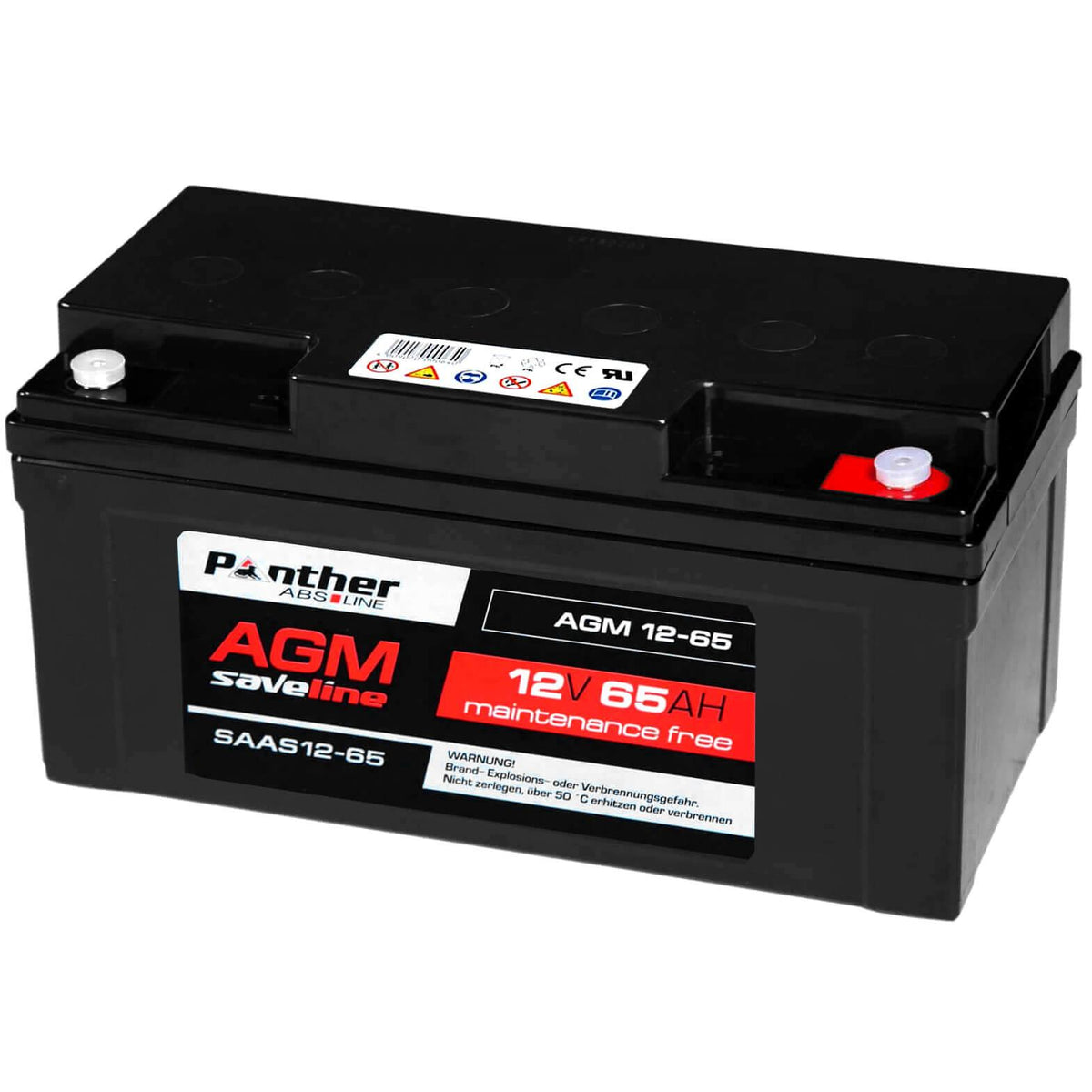 USV Batterie Panther saveline AGM 12V 65Ah Seite rechts