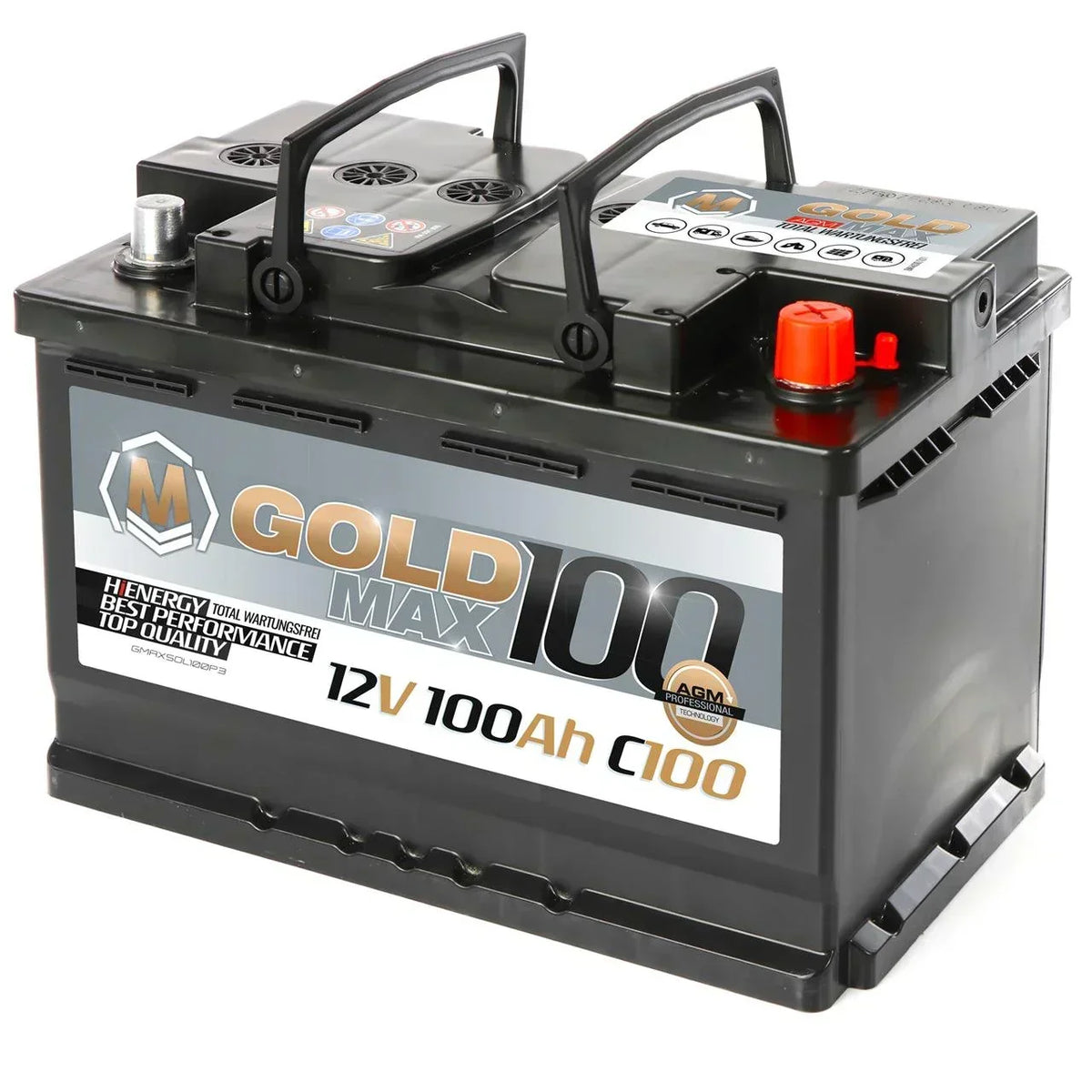 GoldMax AGM 12V 100Ah C100 Versorgerbatterie
