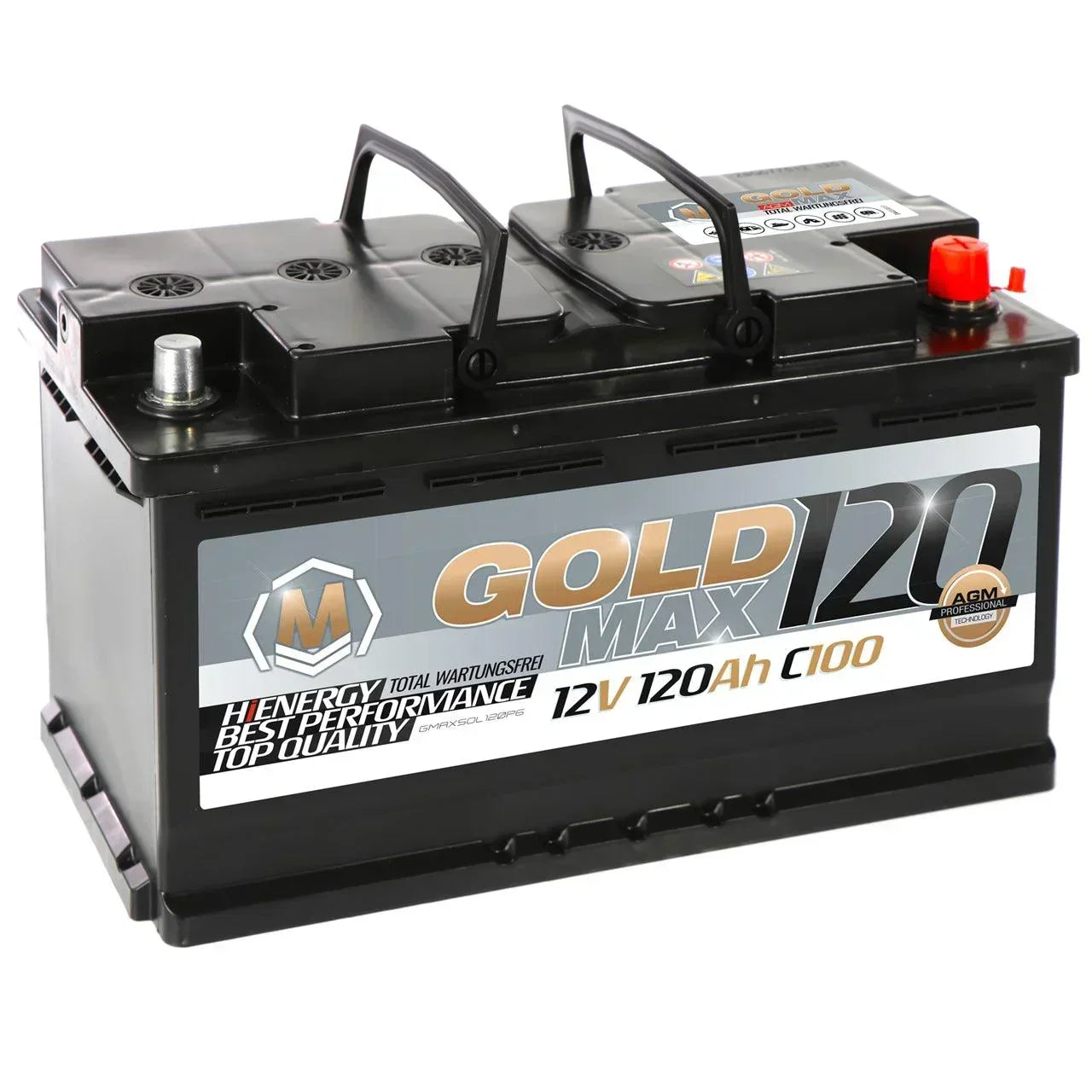 GoldMax AGM 12V 120Ah C100 Versorgerbatterie